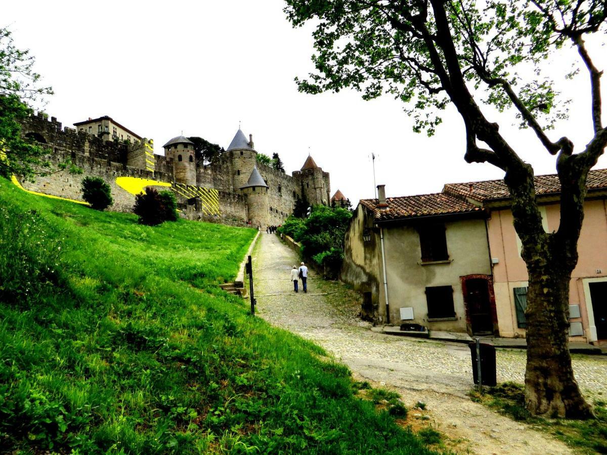 Cote De La Cite Medievale *